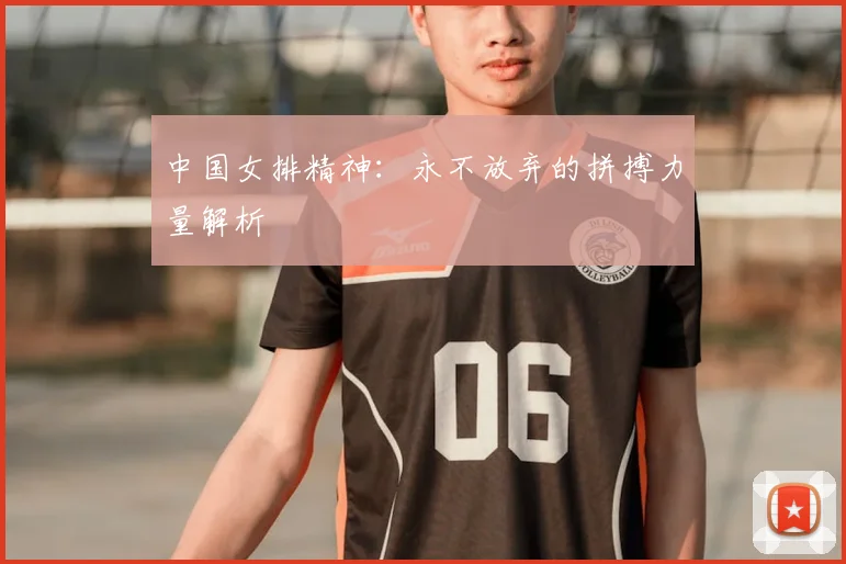 中国女排精神：永不放弃的拼搏力量解析