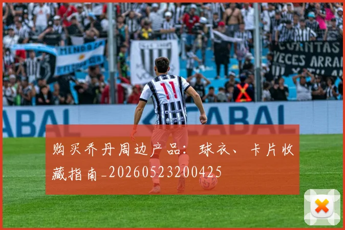 购买乔丹周边产品:球衣、卡片收藏指南_20260523200425